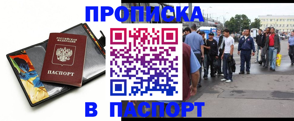прописка в Курске